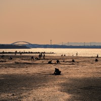 和白干潟(2009)の画像