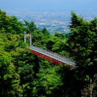 油山市民の森・吊り橋(2009)の画像