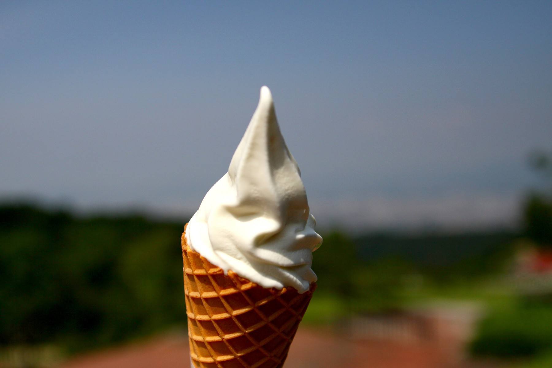 油山牧場・人気のソフトクリーム(2009)の画像