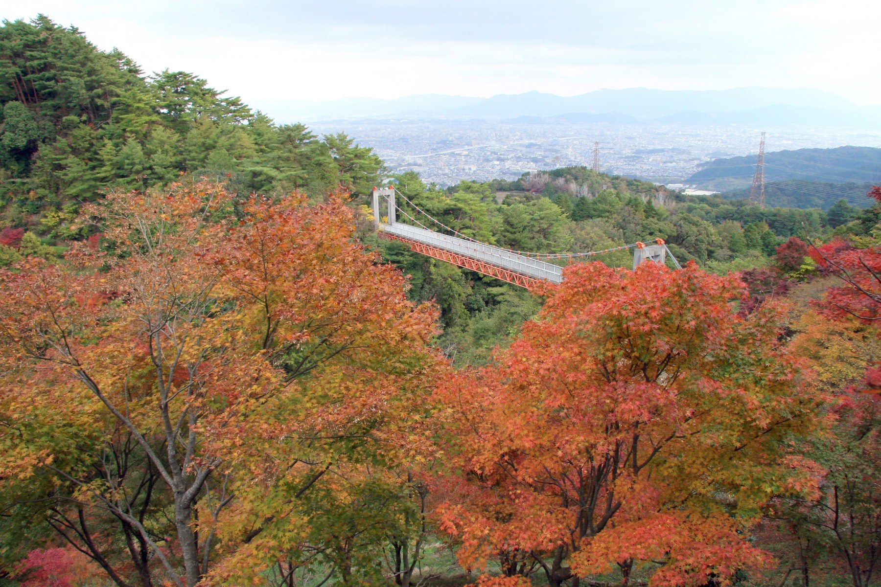 油山市民の森・吊り橋(2006)の画像