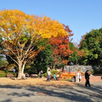 植物園(2010)の画像