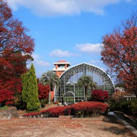花畑園芸公園(2010)の画像