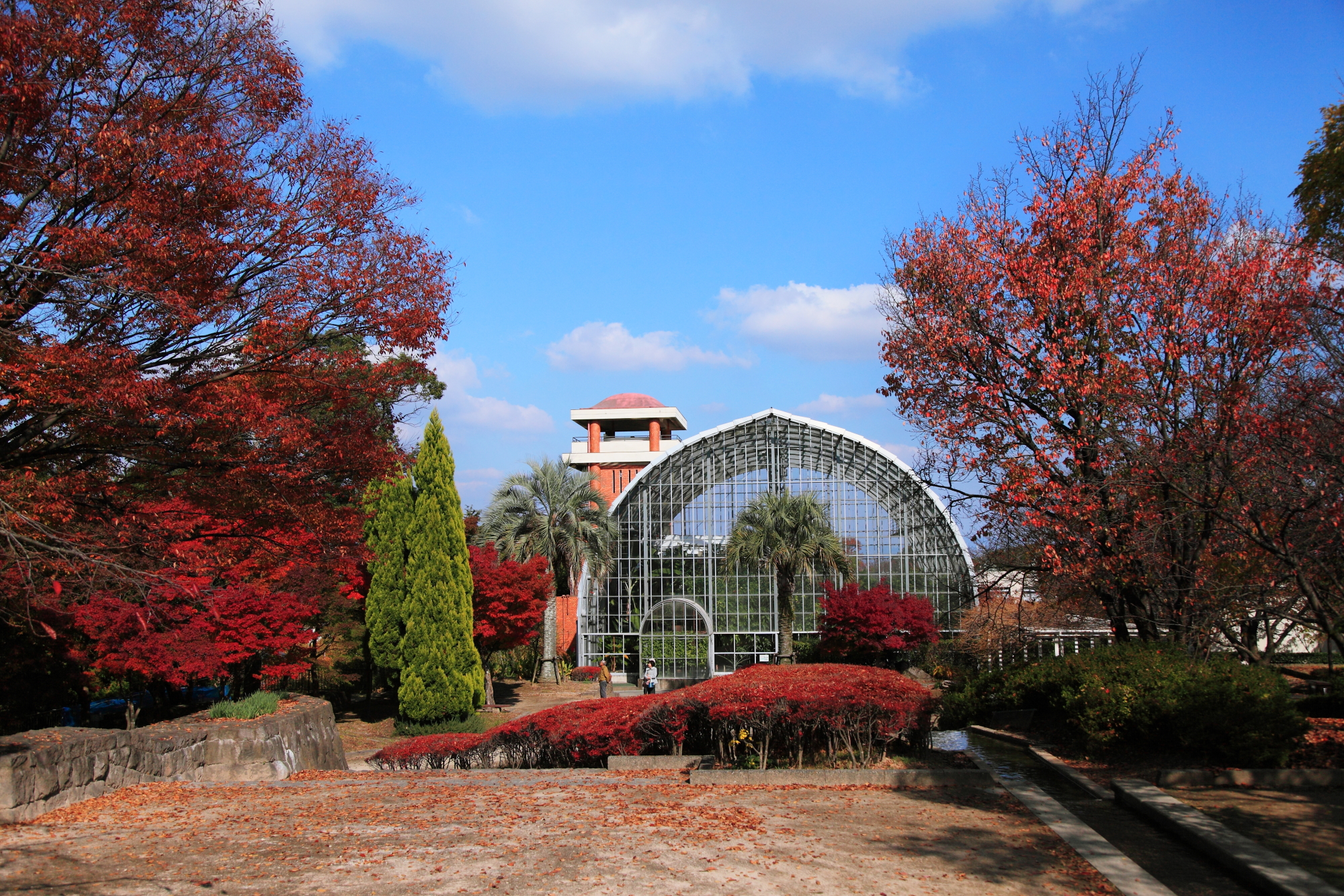 花畑園芸公園(2010)の画像