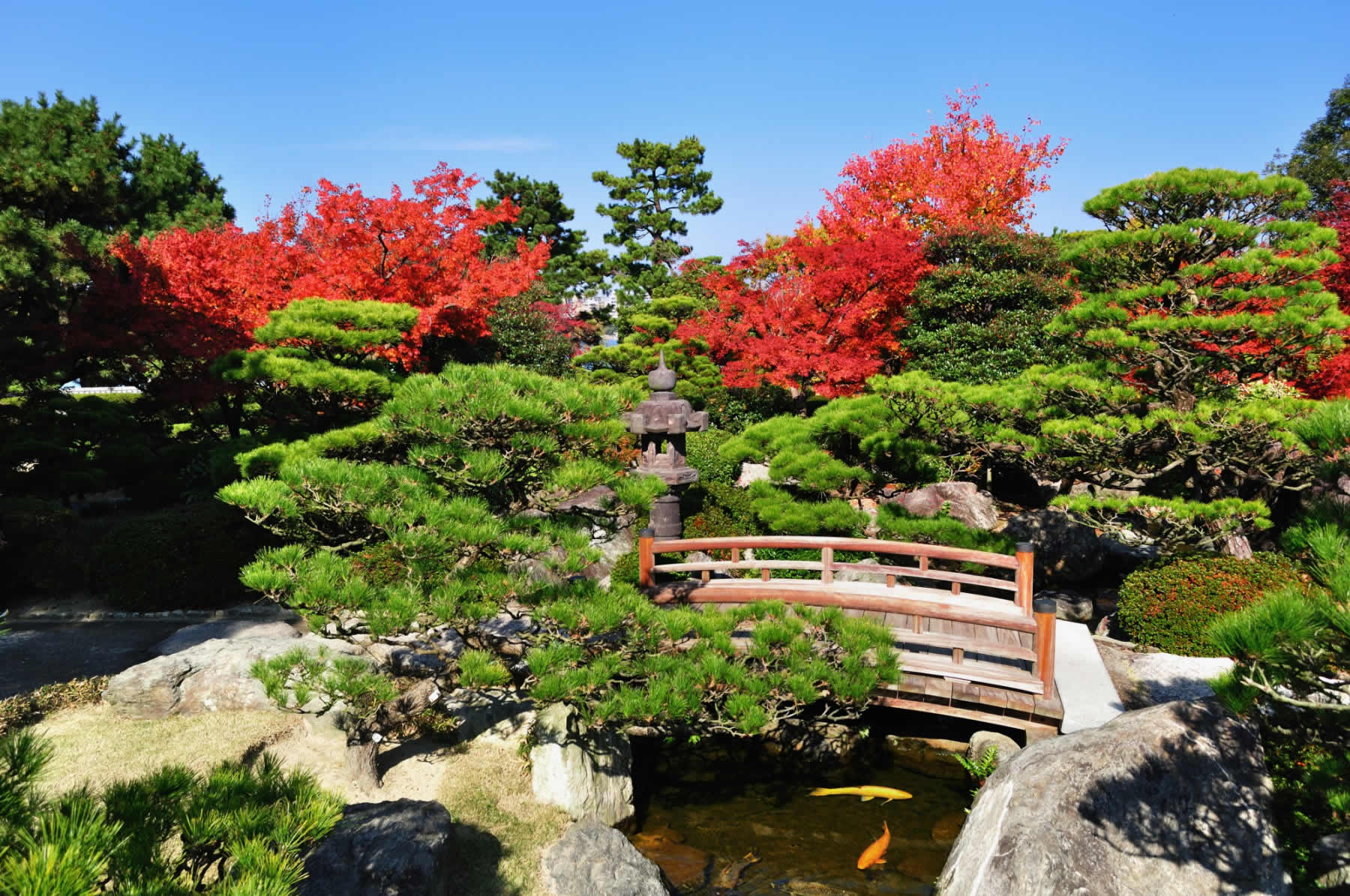 大濠公園・日本庭園(2010)の画像