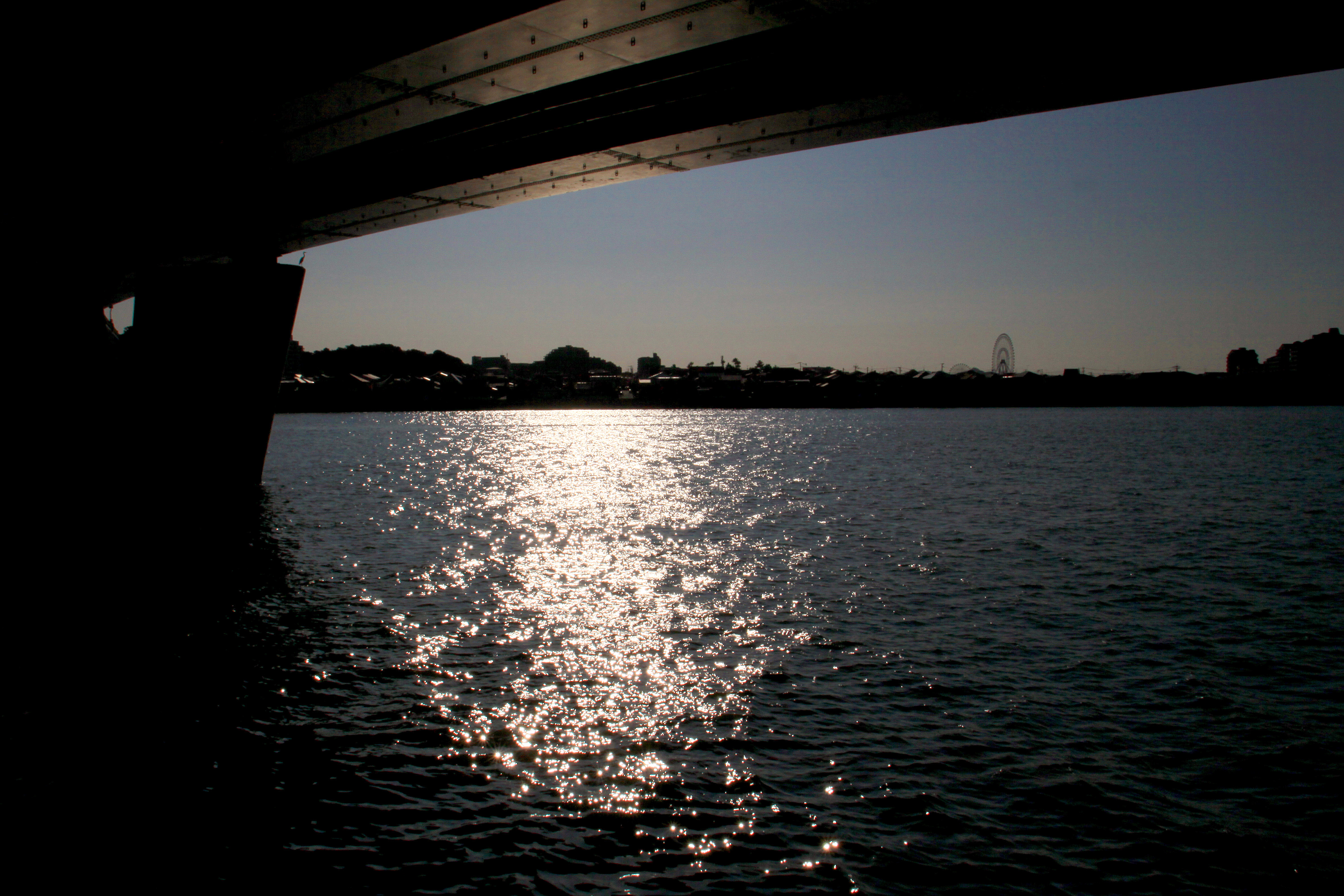 室見川と都市高速(2009)の画像