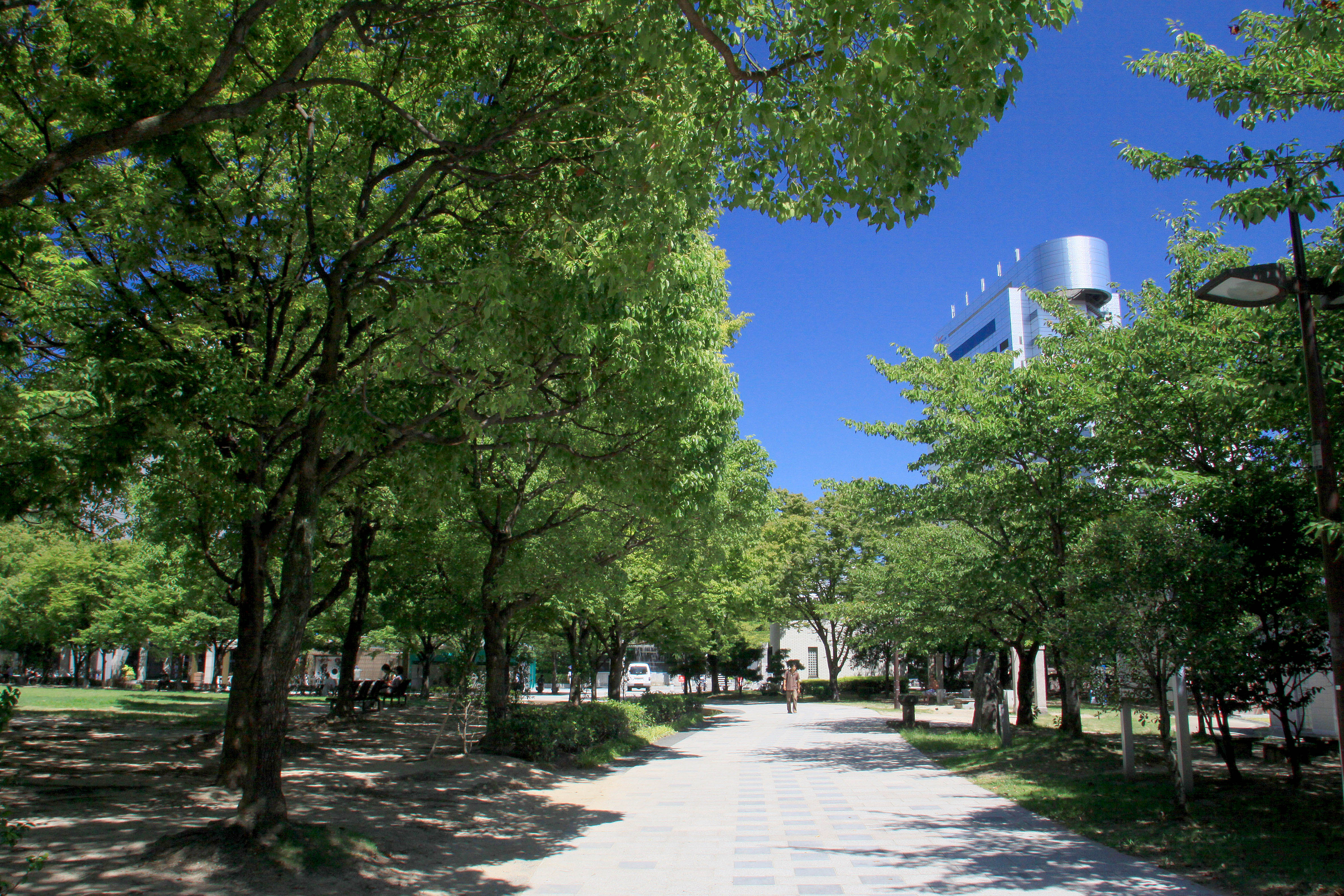 天神中央公園(2009)の画像