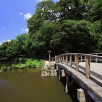 舞鶴公園(2009)の画像