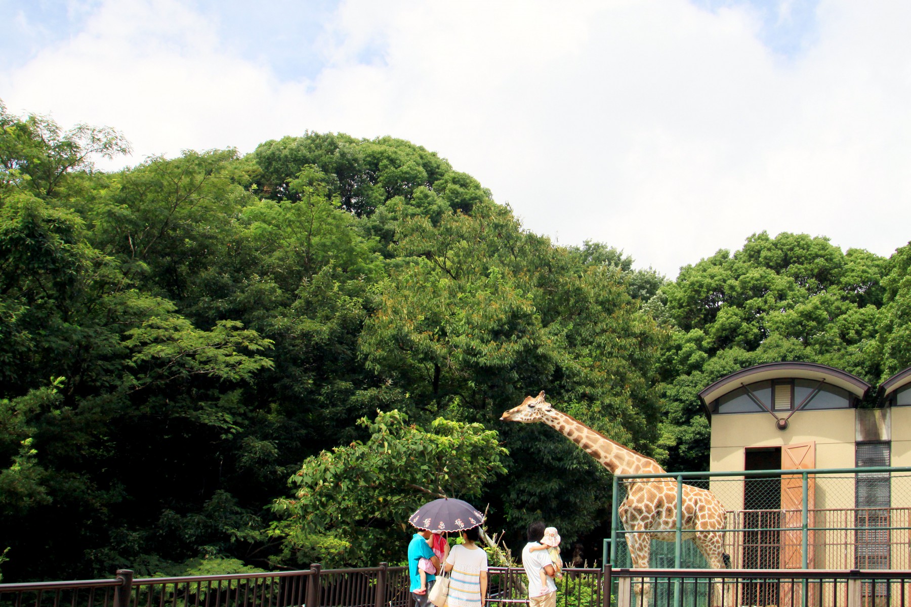 動物園(2009)の画像