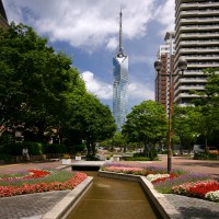 福岡タワー(2009)の画像