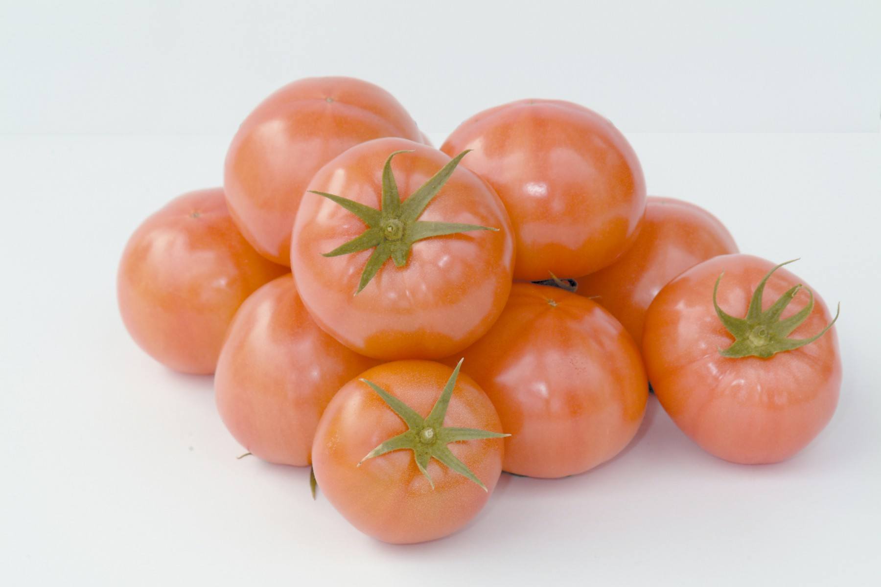 れき耕栽培のトマト(撮影年不明)の画像