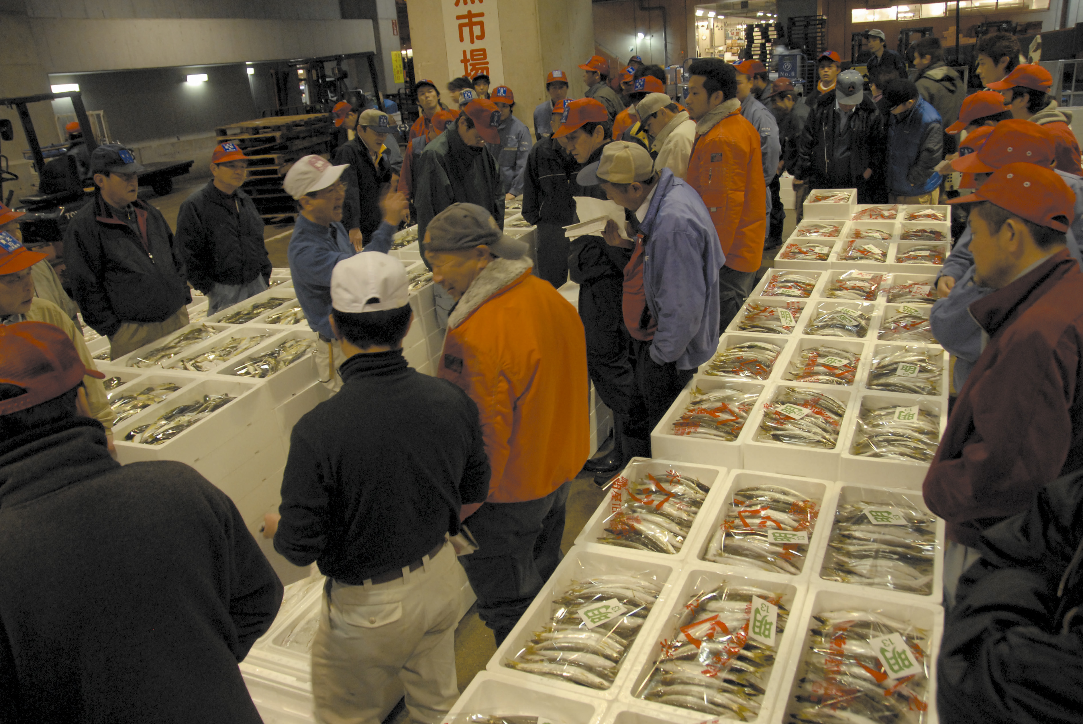 鮮魚市場(2006)の画像