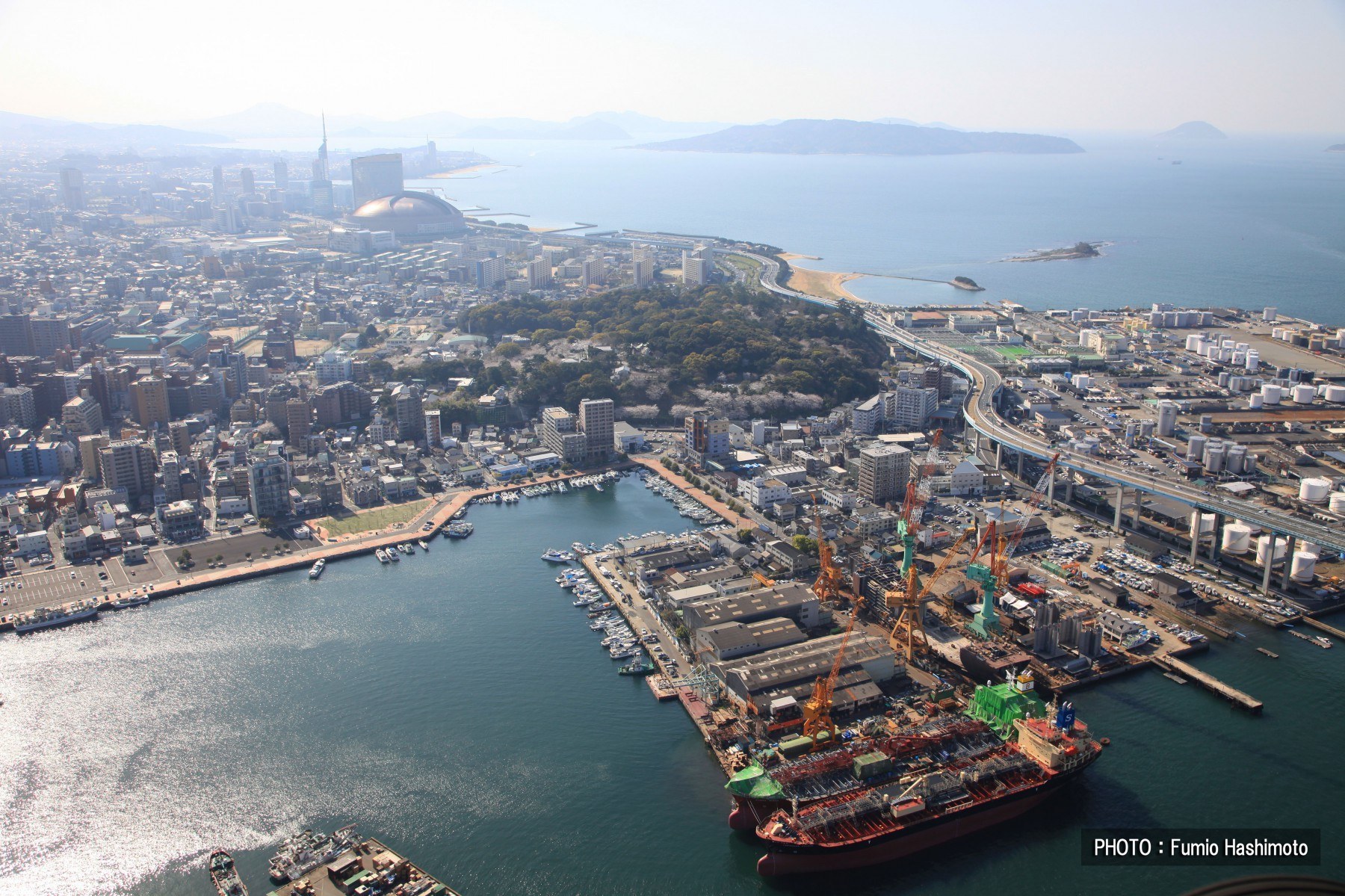 博多漁港(2009)の画像
