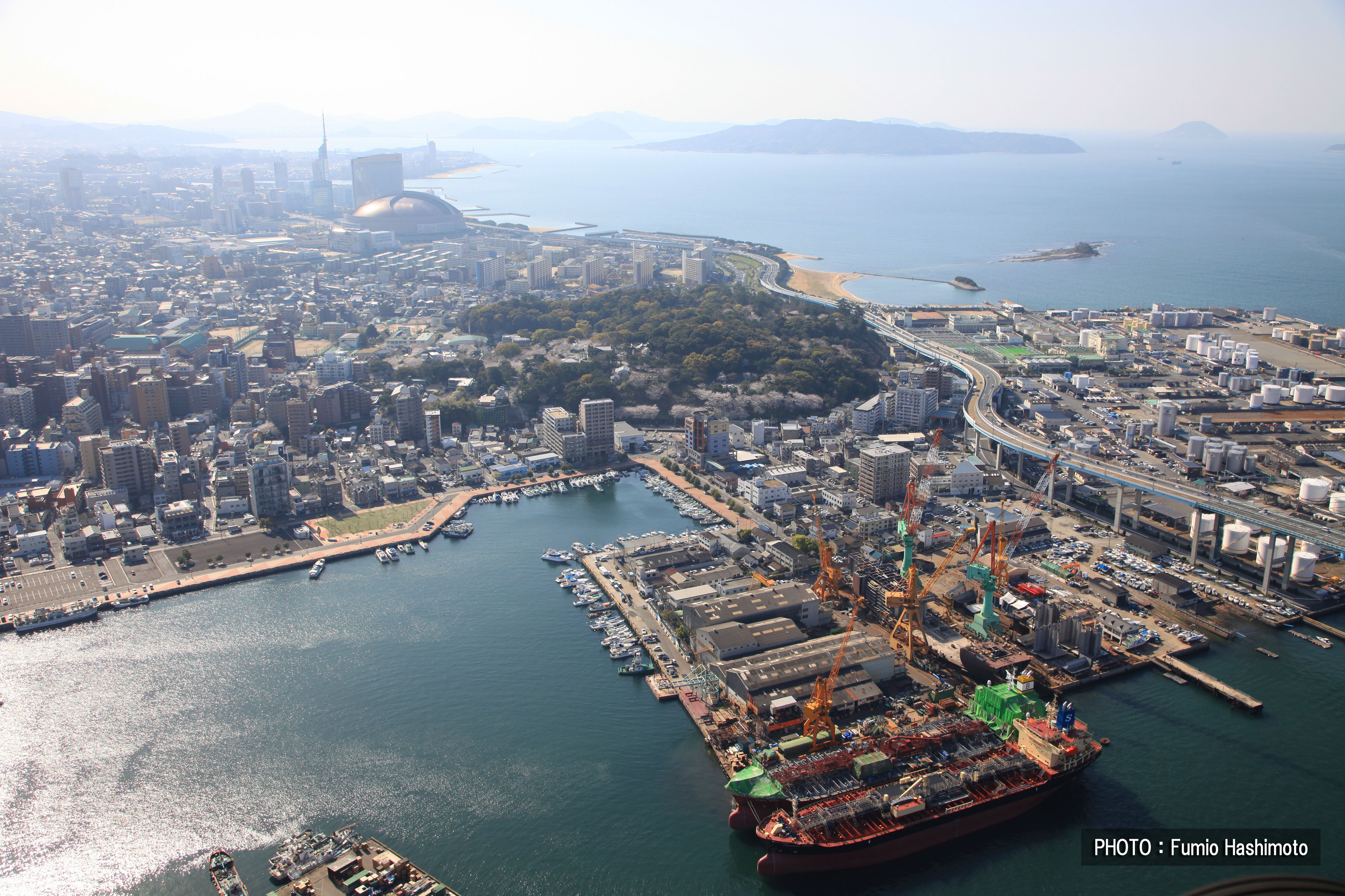 博多漁港(2009)の画像
