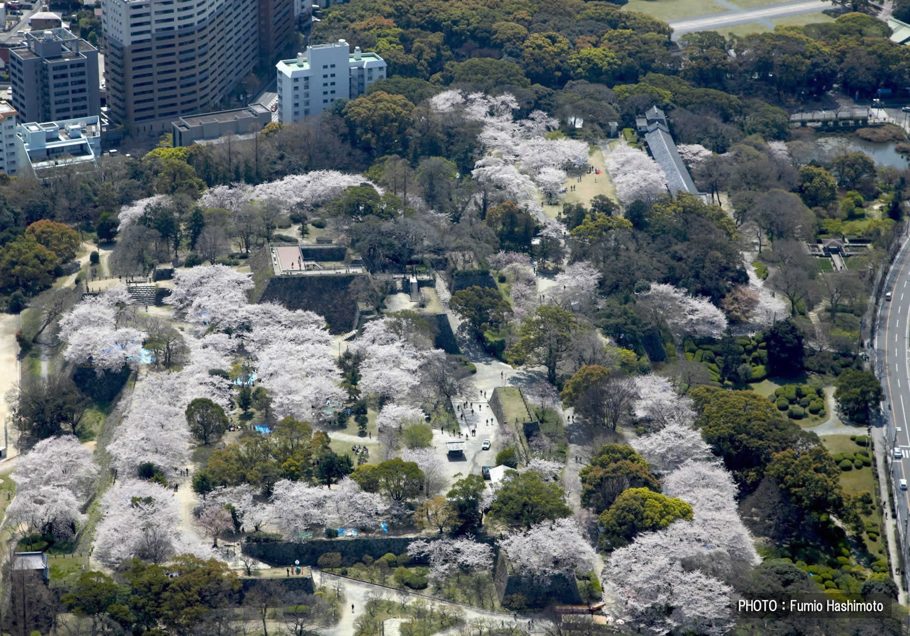 福岡城跡(2009)の画像