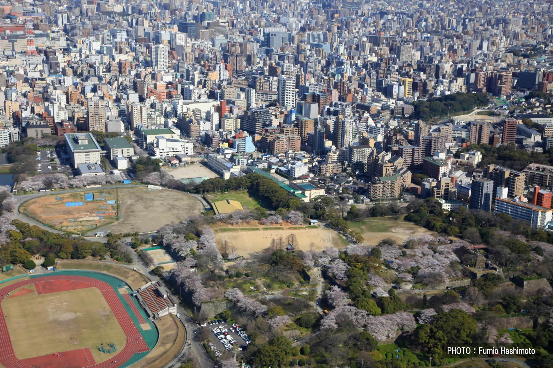 舞鶴公園(2009)の画像