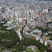 舞鶴公園・けやき通り(2009)の画像
