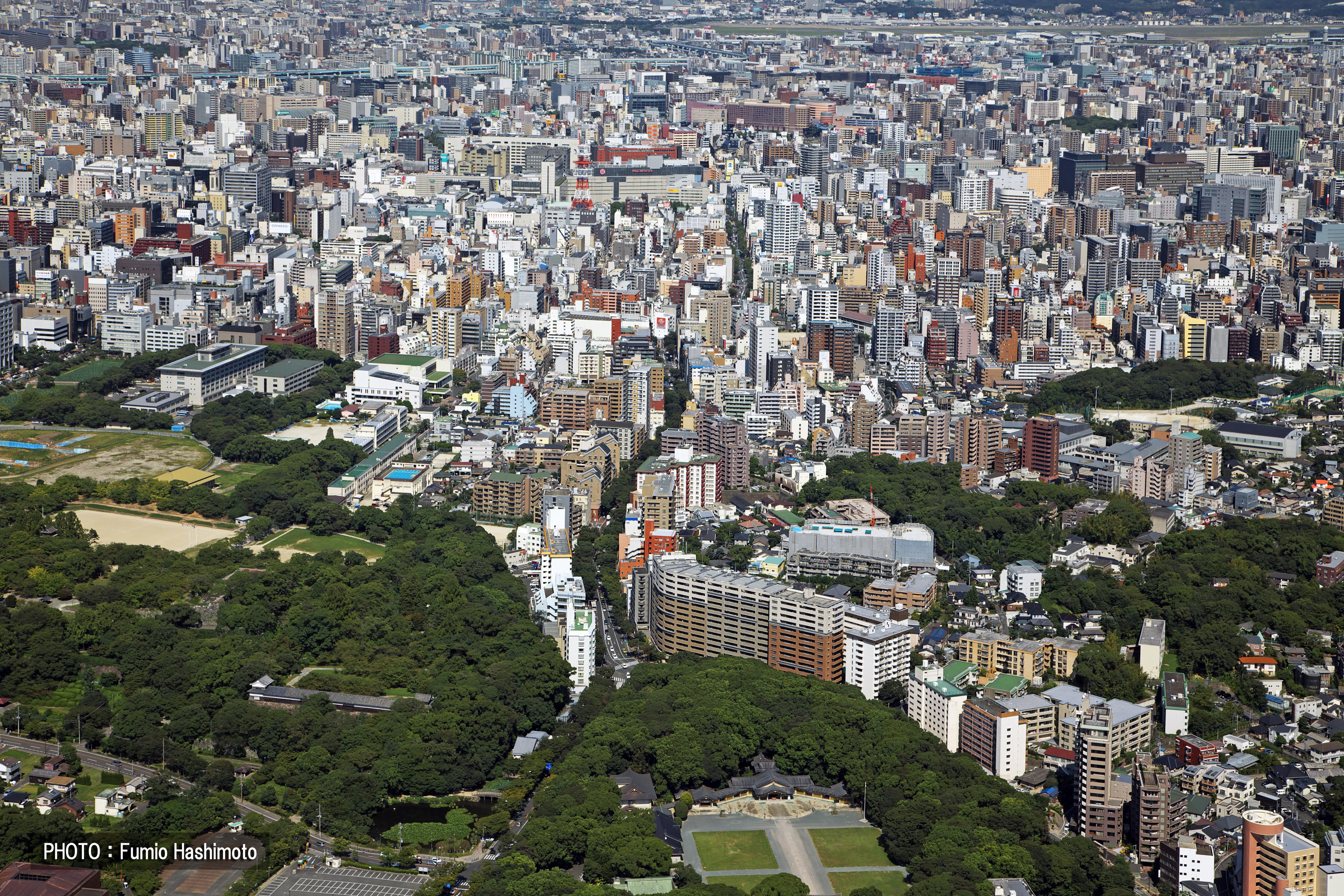 舞鶴公園・けやき通り(2009)の画像