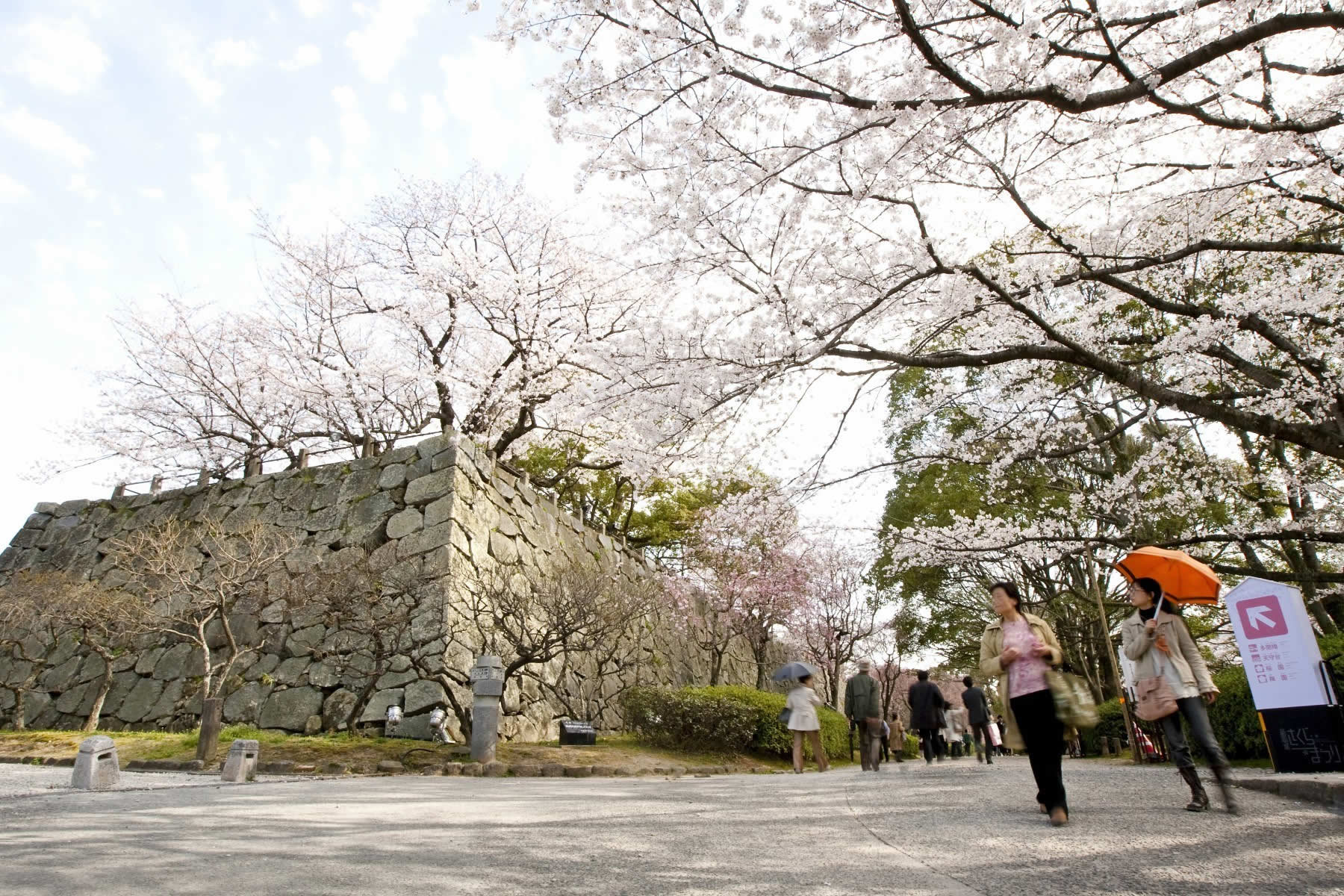 福岡城跡(2012)の画像