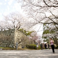 福岡城跡(2012)の画像