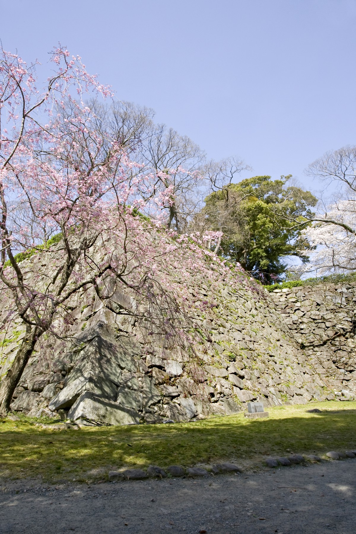 福岡城跡・石垣(2012)の画像