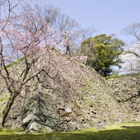 福岡城跡・石垣(2012)の画像