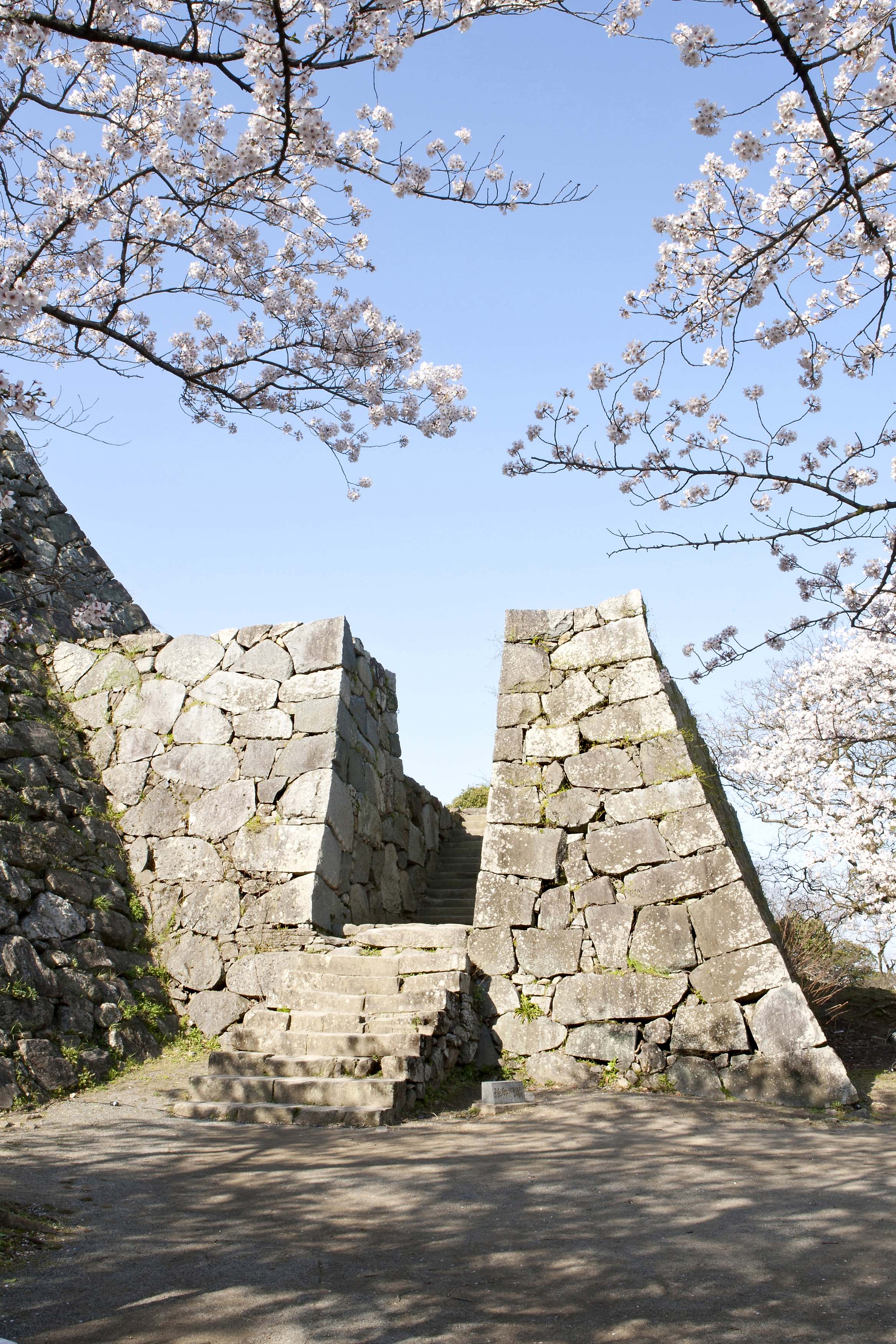 福岡城跡・鉄御門跡(2012)の画像