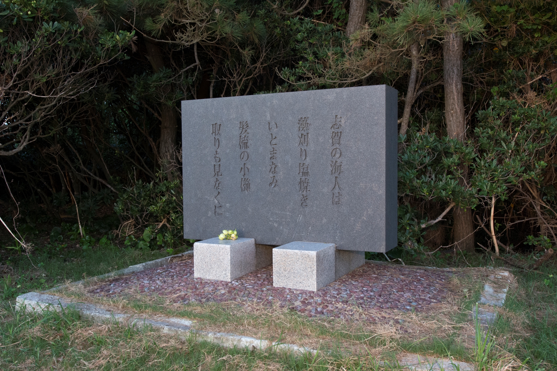 万葉歌碑(志賀島)(2013)の画像