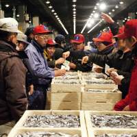 鮮魚市場(2013)の画像