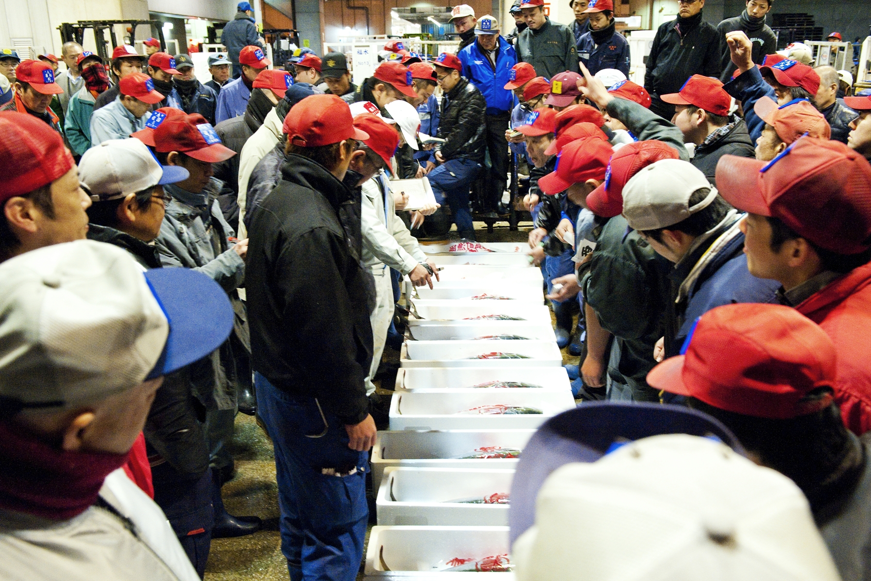 鮮魚市場(2013)の画像