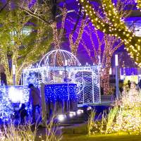 Image of Christmas Illuminations at Kego Park(2014)