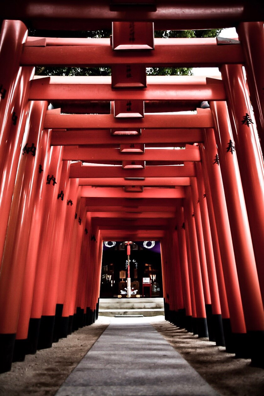 櫛田神社(2019）の画像