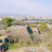 福冈城遗址(2019)图片