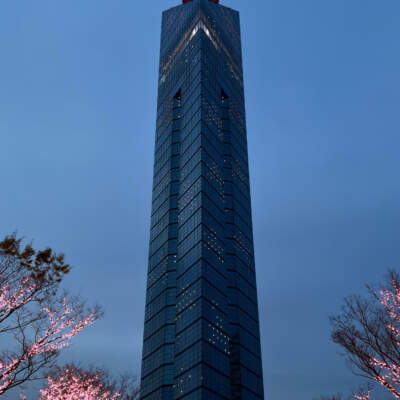 福岡タワー（2024）の画像