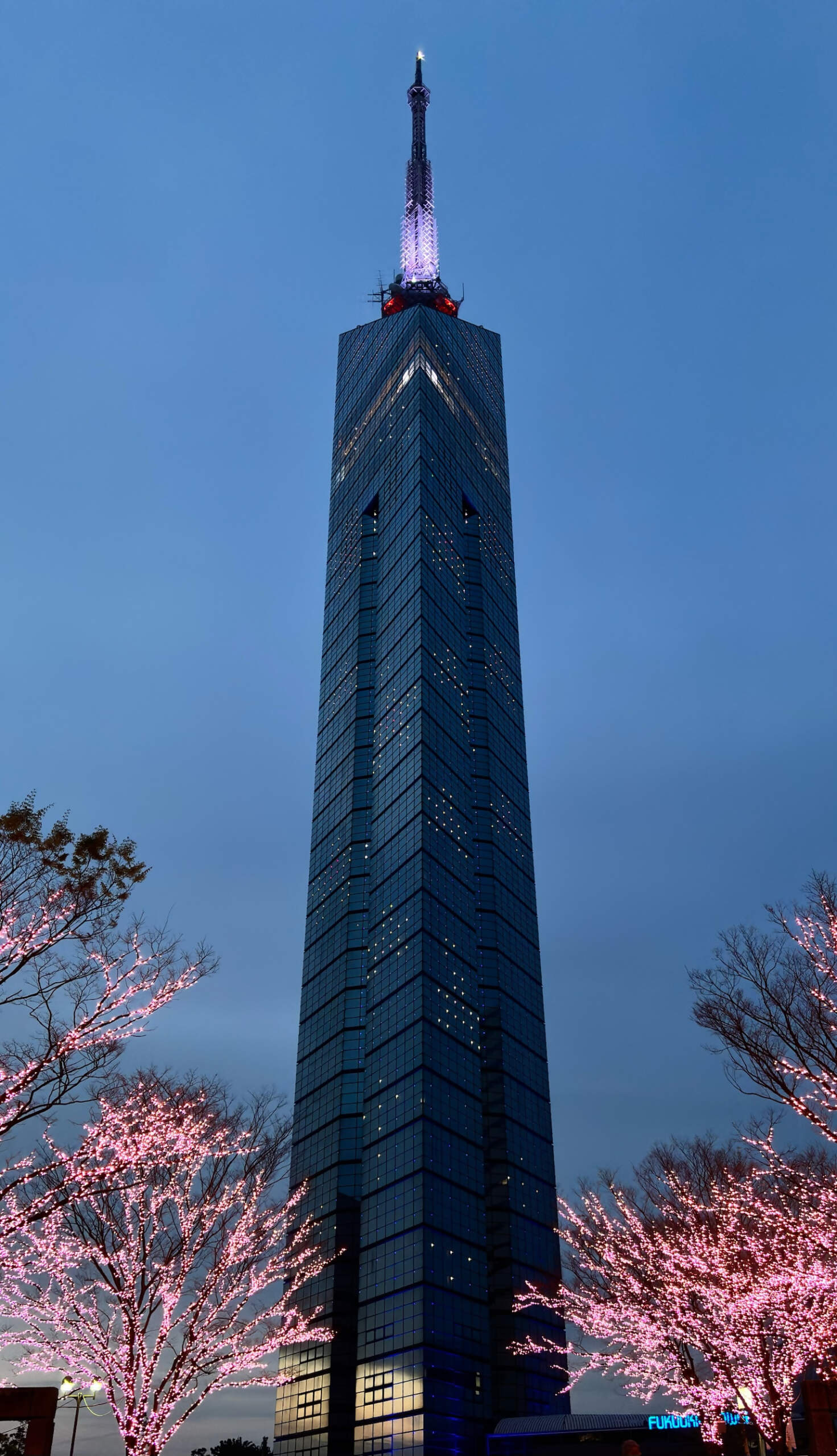福岡タワー（2024）の画像