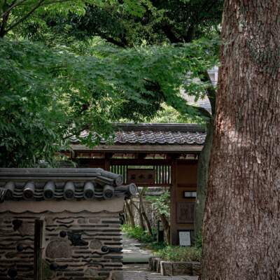 楽水園（2024）の画像